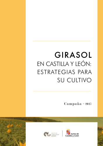 Girasol en Castilla y León: Estrategias para su cultivo