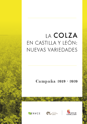 La colza en Castilla y León: nuevas variedades